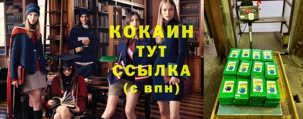 PSILOCYBIN Абдулино
