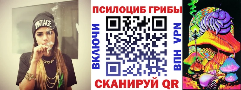 наркошоп  Сусуман  Псилоцибиновые грибы GOLDEN TEACHER 