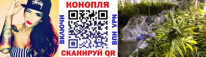 Бошки Шишки Bruce Banner  Сусуман 